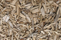 biomass boilers Lislane
